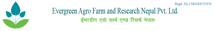 Evergreen Agro Farm and Research Nepal